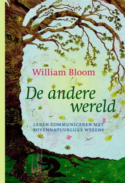 De andere wereld - William Bloom (ISBN 9789401300667)