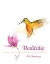 Meditatie (e-Book) - Sri Chinmoy (ISBN 9789492066527)