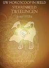 Uw horoscoop in beeld: sterrenbeeld Tweelingen (e-Book) - Jack Chandu (ISBN 9789038923338)