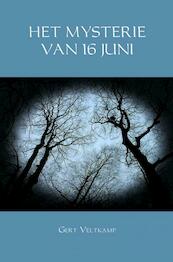 HET MYSTERIE VAN 16 JUNI - Gert Veltkamp (ISBN 9789402196092)