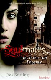 Het verhaal van Phoenix - Joss Stirling (ISBN 9789020632675)