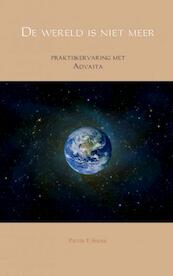 De wereld is niet meer - Pieter F. Snoek (ISBN 9789402116557)