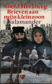 Brieven aan mijn kleinzoon - Abel J. Herzberg (ISBN 9789021448077)