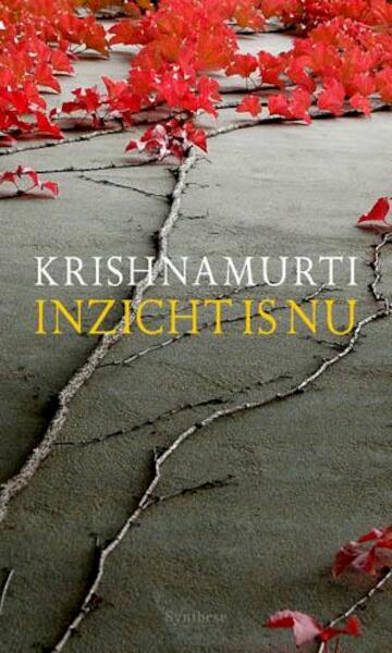 Inzicht is nu - J. Krishanamurti (ISBN 9789062711079)