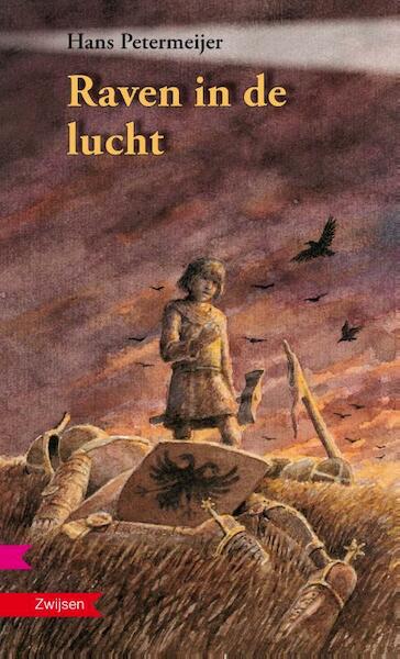 Raven in de lucht - H. Petermeijer, Hans Petermeijer (ISBN 9789048703524)