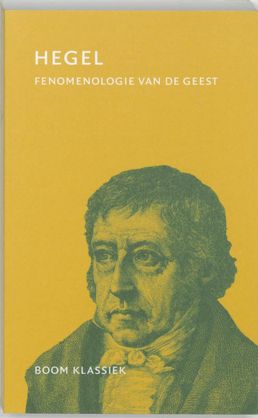 Fenomenologie van de geest - G.W.F. Hegel (ISBN 9789053527986)