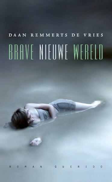 Brave nieuwe wereld - Daan Remmerts de Vries (ISBN 9789021440217)