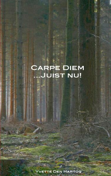 Carpe Diem juist nu! - Yvette den Hartog (ISBN 9789461935458)