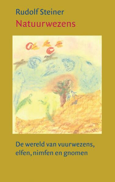 Natuurwezens - Rudolf Steiner (ISBN 9789060382530)