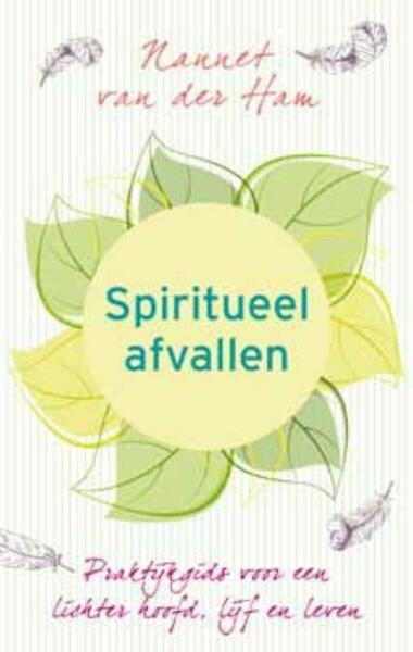 Spiritueel afvallen - Nannet van der Ham (ISBN 9789025961220)
