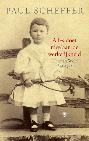 Alles doet mee aan de werkelijkheid - Paul Scheffer (ISBN 9789023472643)