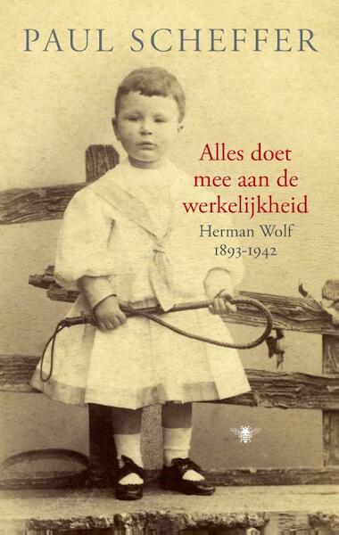 Alles doet mee aan de werkelijkheid - Paul Scheffer (ISBN 9789023476351)