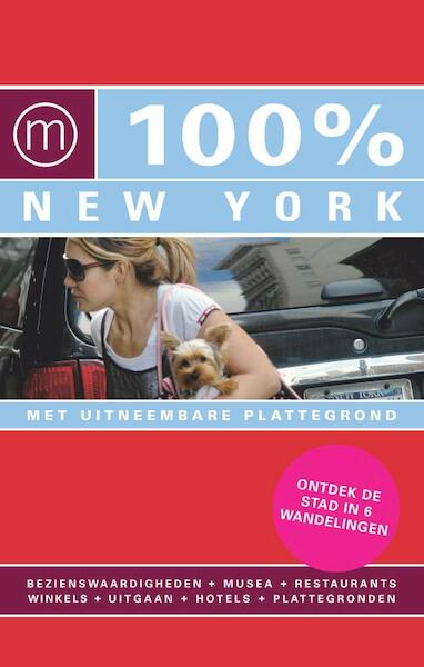 New York - Pascal Theunissen (ISBN 9789057674778)