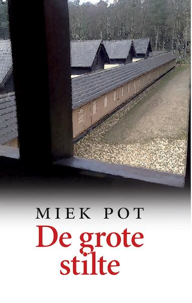 De grote stilte - Miek Pot (ISBN 9789082466058)