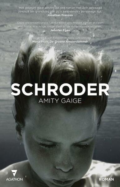 Schroder - Amity Gaige (ISBN 9789000335961)