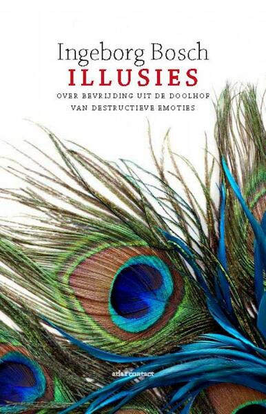 Illusies - Ingeborg Bosch (ISBN 9789020449815)