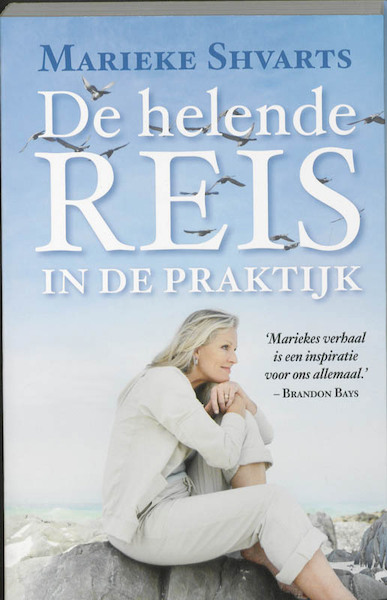 De helende Reis in de praktijk - Marieke Shvarts (ISBN 9789049200879)