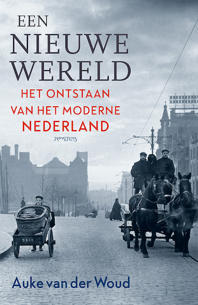 Een nieuwe wereld - Auke van der Woud (ISBN 9789035145320)