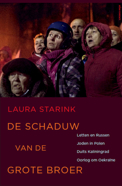 De schaduw van de grote broer - Laura Starink (ISBN 9789045028132)