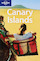 Lonely Planet Canary Islands