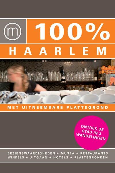 Haarlem - Janneke Voorn (ISBN 9789057674792)