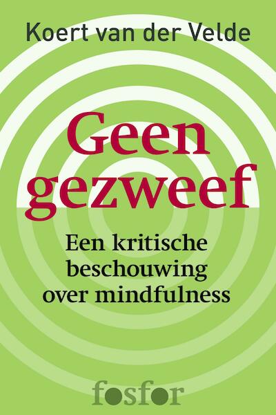 Geen gezweef - Koert van der Velde (ISBN 9789462251892)