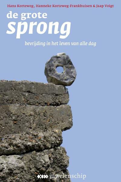 De grote sprong - H. Korteweg, Hanneke Korteweg-Frankhuisen, J. Voigt (ISBN 9789021546636)