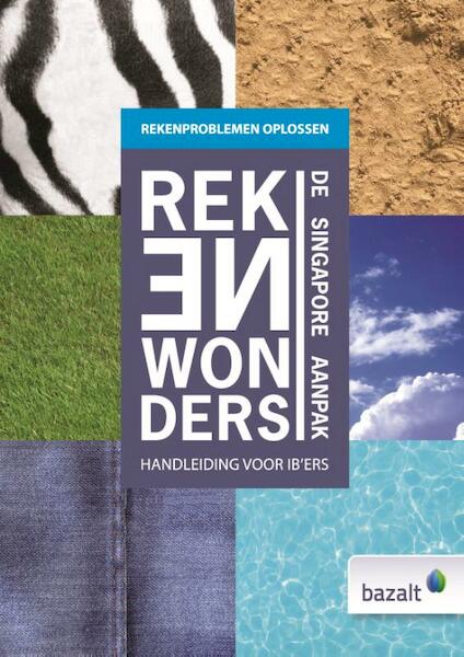 Rekenproblemen? Oplossen en diagnosticeren met rekenwonders - Projectgroep Rekenwonders (ISBN 9789461182104)