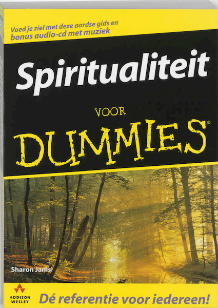 Spiritualiteit voor Dummies - S. Janis (ISBN 9789043006910)