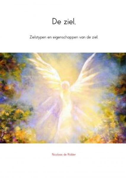 De ziel - Nicolaas de Ridder (ISBN 9789402111880)