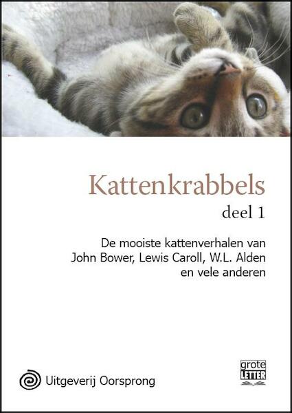 Kattenkrabbels - grote letter uitgave deel 1 - (ISBN 9789461010810)