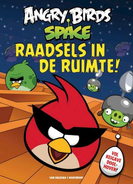 Raadsels in de ruimte - (ISBN 9789000322800)