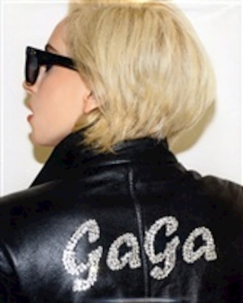 Lady Gaga X Terry Richardson - Terry Richardson (ISBN 9781444741254)