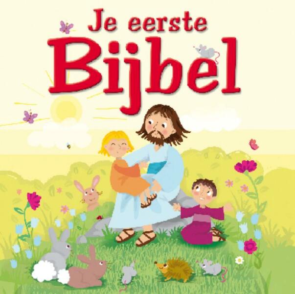 Je eerste bijbel - Karen Williamson (ISBN 9789033831522)