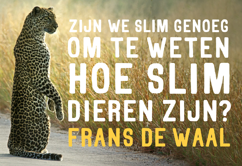 Zijn we slim genoeg om te weten hoe slim dieren zijn - Frans de Waal (ISBN 9789049805203)