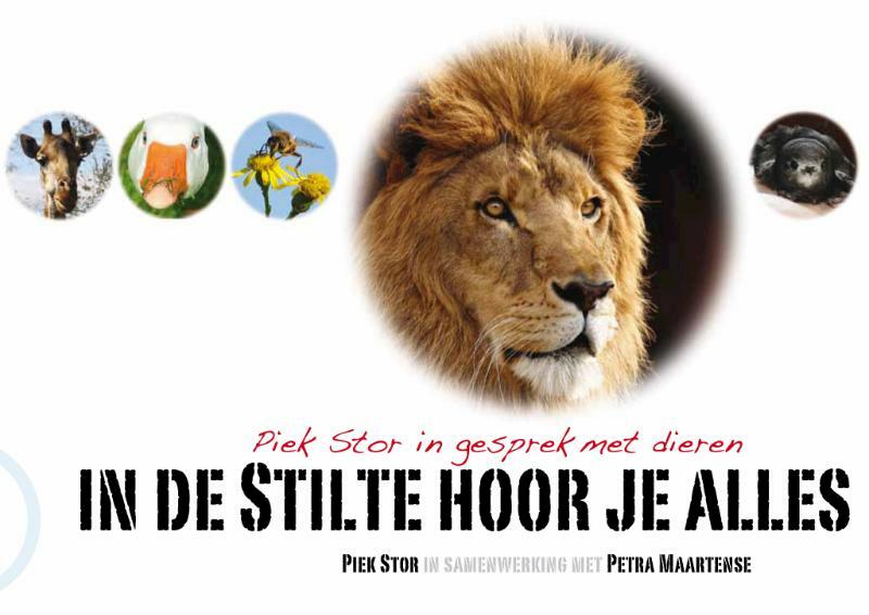 In de Stilte hoor je alles - Piek Stor, Petra Maartense (ISBN 9789081648103)