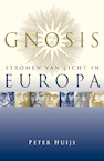 Gnosis, stromen van licht in Europa (e-Book) - Peter Huijs (ISBN 9789067326483)