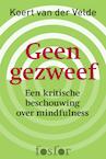 Geen gezweef (e-Book) - Koert van der Velde (ISBN 9789462251892)